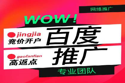 SEM公司成功案例分享：搜索引擎优化的力量